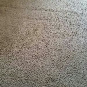 Meet your Posher, Misty