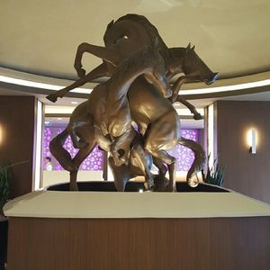 Meet your Posher, Alison