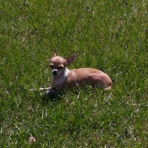 Meet your Posher, Rajaa