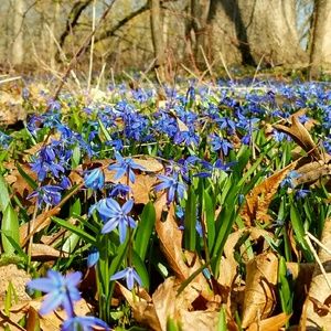 Meet your Posher, Monika