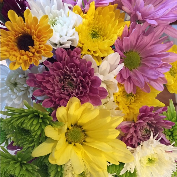 Meet your Posher, Sabrina - Picture 1 of 1