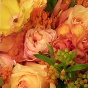 Meet your Posher, Noor