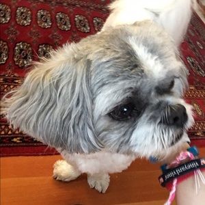 Meet your Posher, Natalie