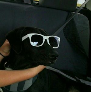 Meet your Posher, Kalista