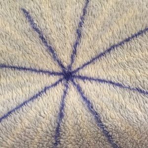 Meet your Posher, Mandy