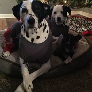 Meet your Posher, Margie