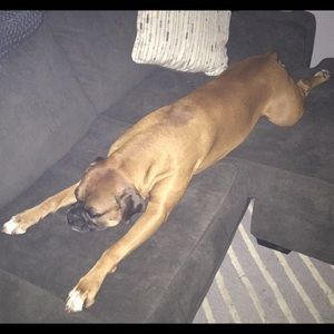 Meet your Posher, Ashley