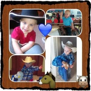 Meet your Posher, Shelby