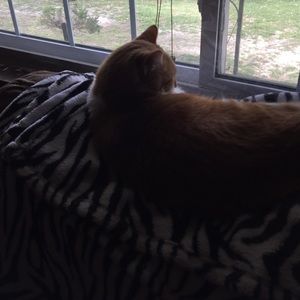 Meet your Posher, Kendra