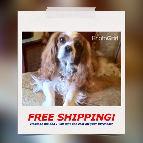 24 Hours only, l will pay your shipping cost!