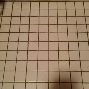 Meet your Posher, Ginger