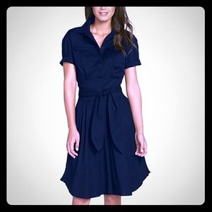 🚫 CYNTHIA STEFFE Belted Poplin Fit+Flare Dress