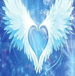 Meet your Posher, Dolores