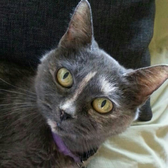 Meet your Posher, Leslie - Picture 2 of 8