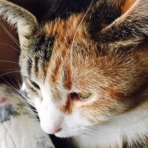 Meet your Posher, Ninoska