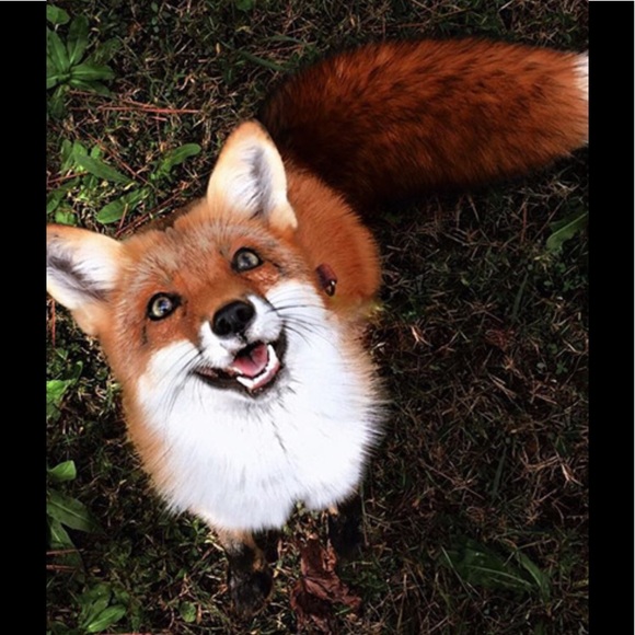 🐬🌺Your Seller/Buyer🐳 - Picture 2 of 5