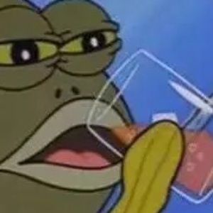 Meet your Posher, Daphne