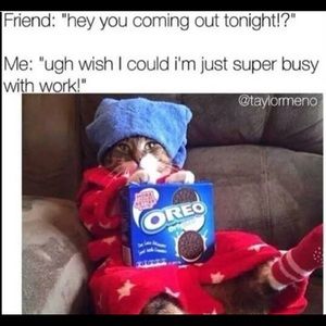 Meet your Posher, Natalie