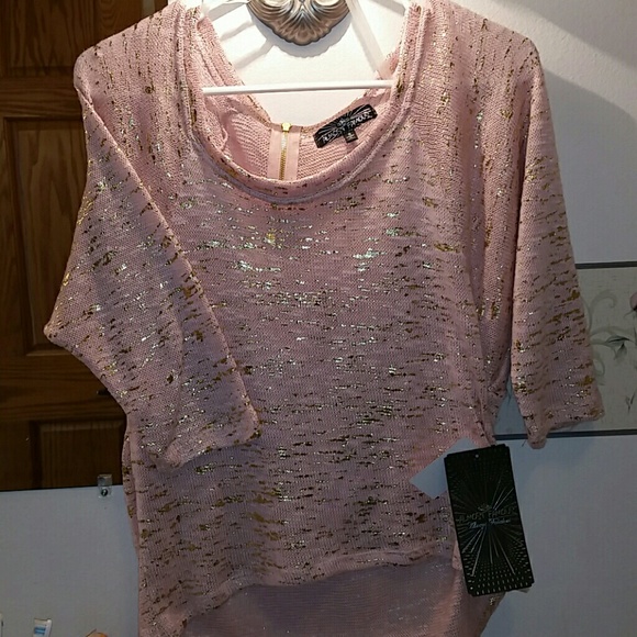 Pink quarter length blouse with gold specs