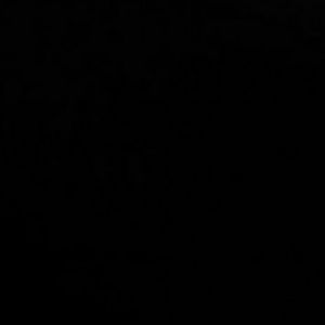 Meet your Posher, Candy