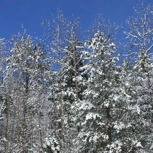 Meet your Posher, Chloe