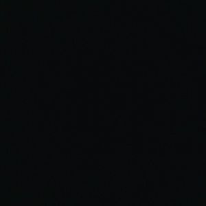 Meet your Posher, Dora