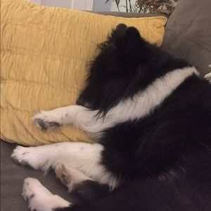 Meet your Posher, Nikki