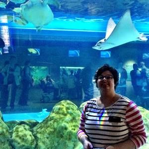 Meet your Posher, Ariel