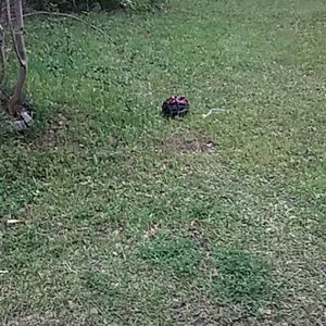 Meet your Posher, Charity