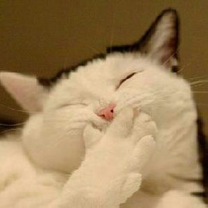 Meet your Posher, Patty