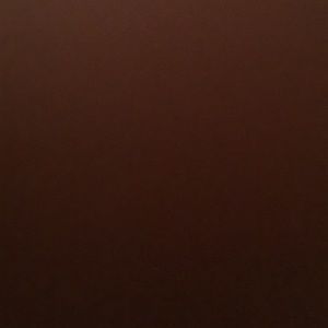 Meet your Posher, Aylssa