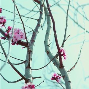 Meet your Posher, Macy