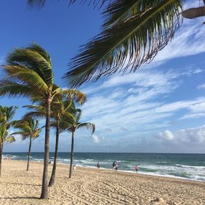 Meet your Posher, Doris