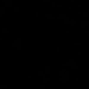 Meet your Posher, Traci