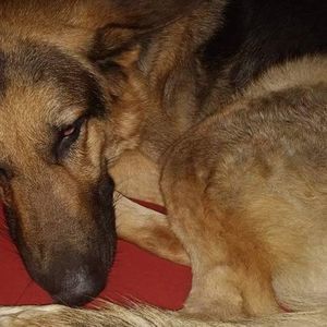 Meet your Posher, Selena