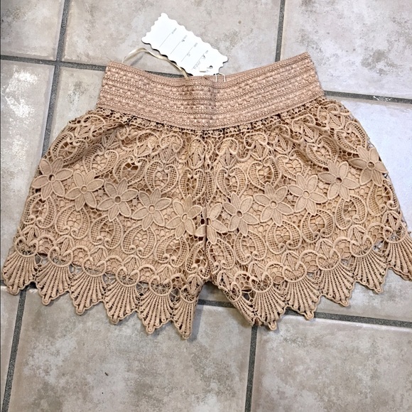 Taupe longer length beautiful crochet shorts!⚡️⚡️ - Picture 3 of 4