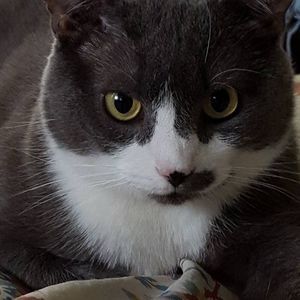 Meet your Posher, Maryann