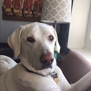 Meet your Posher, Colleen