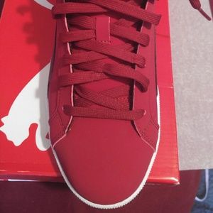 Pumas