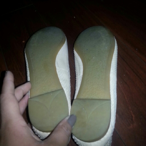 SOLD LOCALLY - Picture 3 of 4