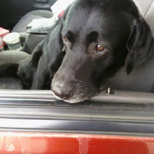 Meet your Posher, Sherry