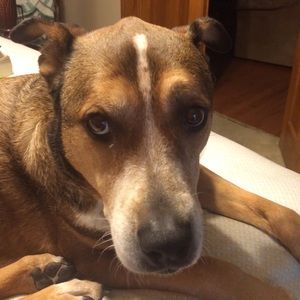 Meet your Posher, Paula