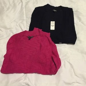 Final discount! 2 Express lightweight sweaters