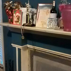 Meet your Posher, Bridgette