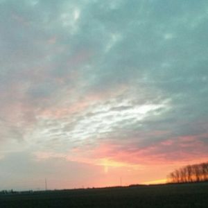 Meet your Posher, Brooklynn