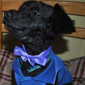 Meet your Posher, Teresa