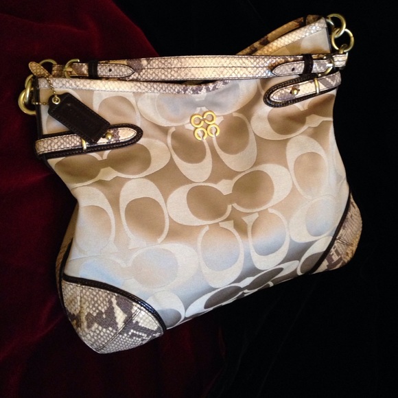 Coach Python Trimmed Hobo