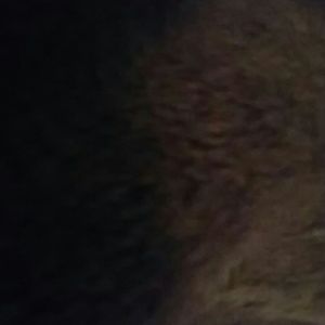 Meet your Posher, Tracey