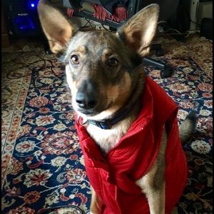 Meet your Posher, Hillary