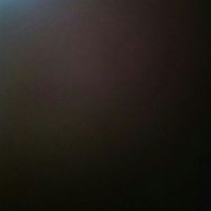 Meet your Posher, Denisha